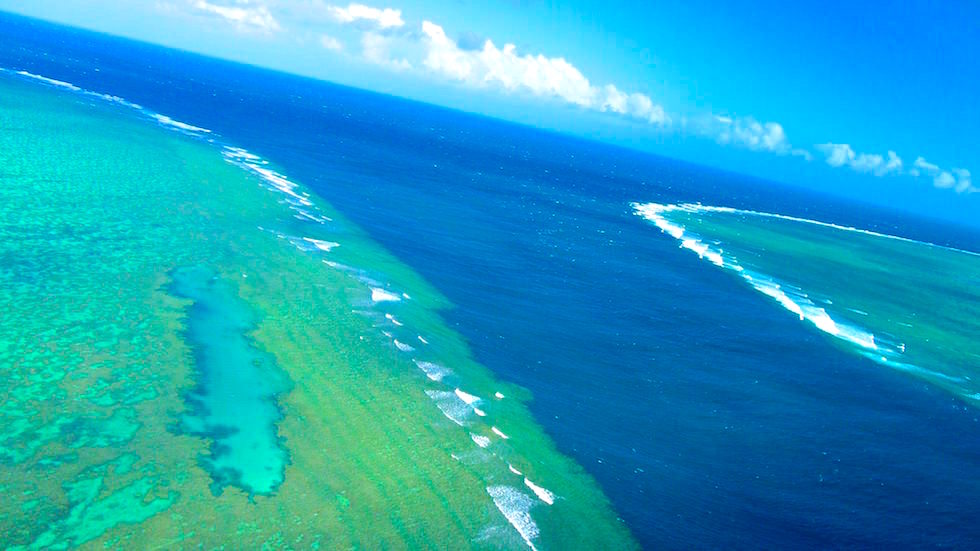 helicopter view near heart reef  great barrier reef Australia