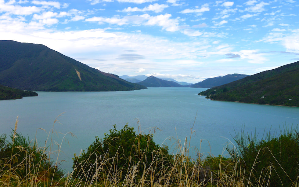 Queen Charlotte Drive between Piction and Havelock South Island NZ