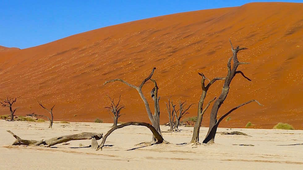 Deadvlei - Sanddünen in der Namib Wüste - Namibia, Afrika