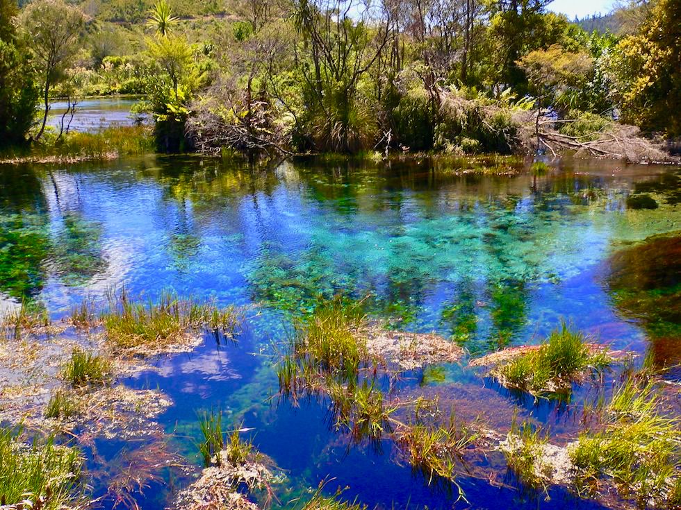 Pupu Springs - Atemberaubende Farben & klarstes Wasser der Welt - Golden Bay Geheimtipp - Südinsel Neuseeland