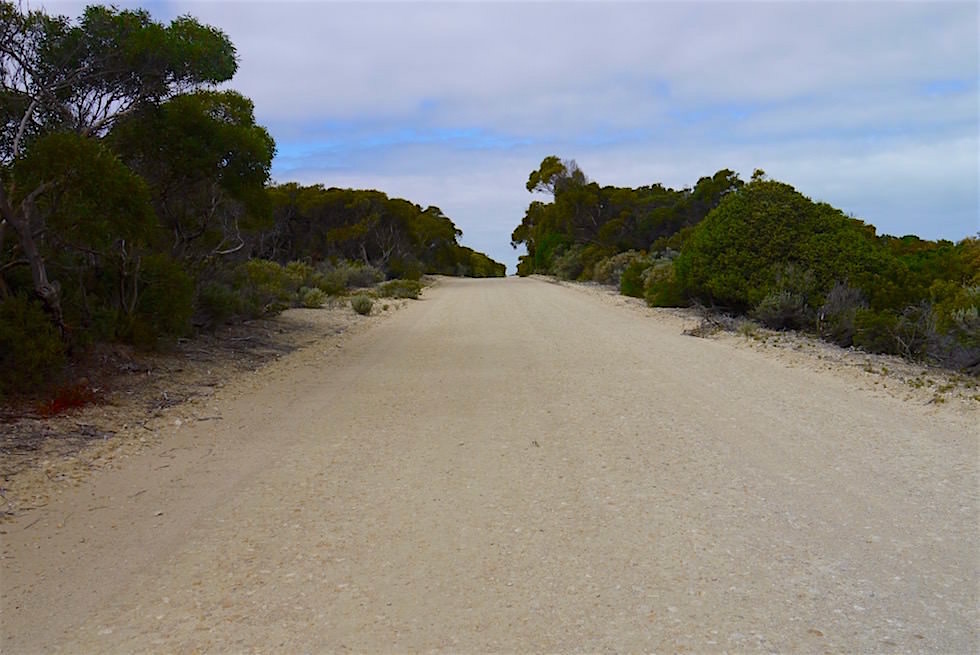 Schotterpiste - Coorong Loop Way - South Australia