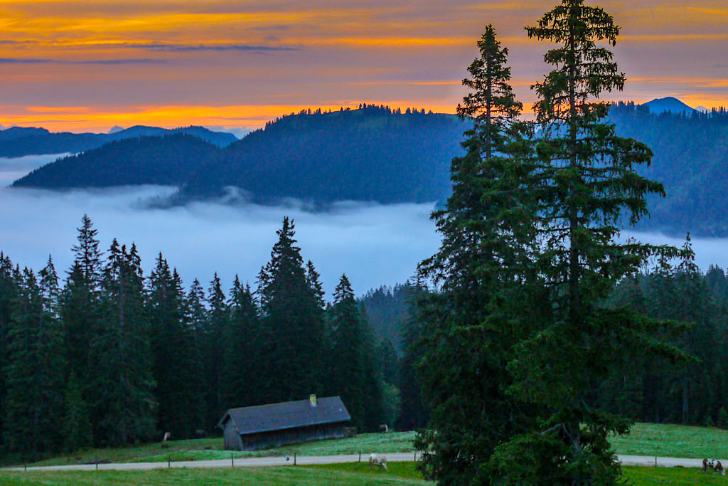 Gufferthütte - Feuriger Sonnenaufgang & Nebel im Tal - Blauberge Wanderung - Wildbad Kreuth, Bayern