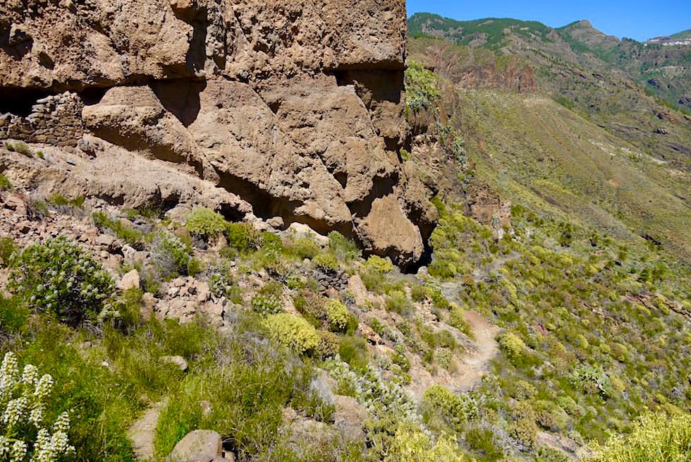 Acusa Seca - Rundwanderung um Felsflanken & Höhlensiedlung der Ureinwohner - Artenara - Gran Canaria