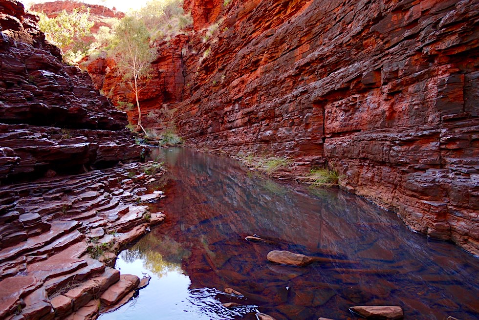 Karijini NP - Feurige Hancock Gorge spiegelt sich im Wasser - Pilbara - Western Australia