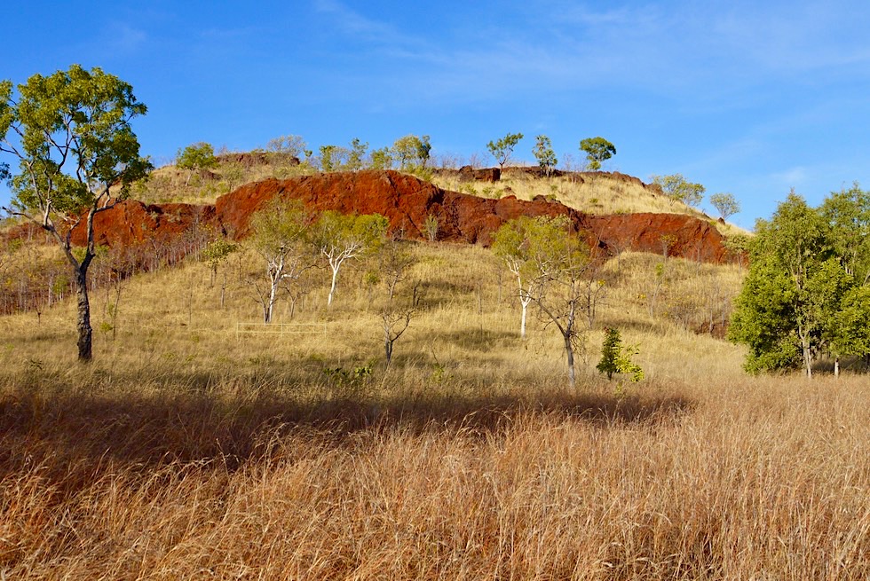Keep River National Park - Jarnem Loop Walk: Ebene mit rotem Felsband - Northern Territory