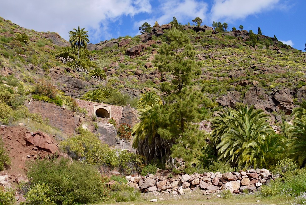 Mirador El Mulato - Palmen & Serpentinen - Gran Canaria 