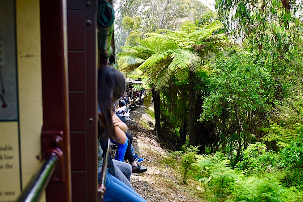Puffing Billy Railway - Fahrt durch den südlichen Sherbrook Forest nahe Melbourne - Victoria