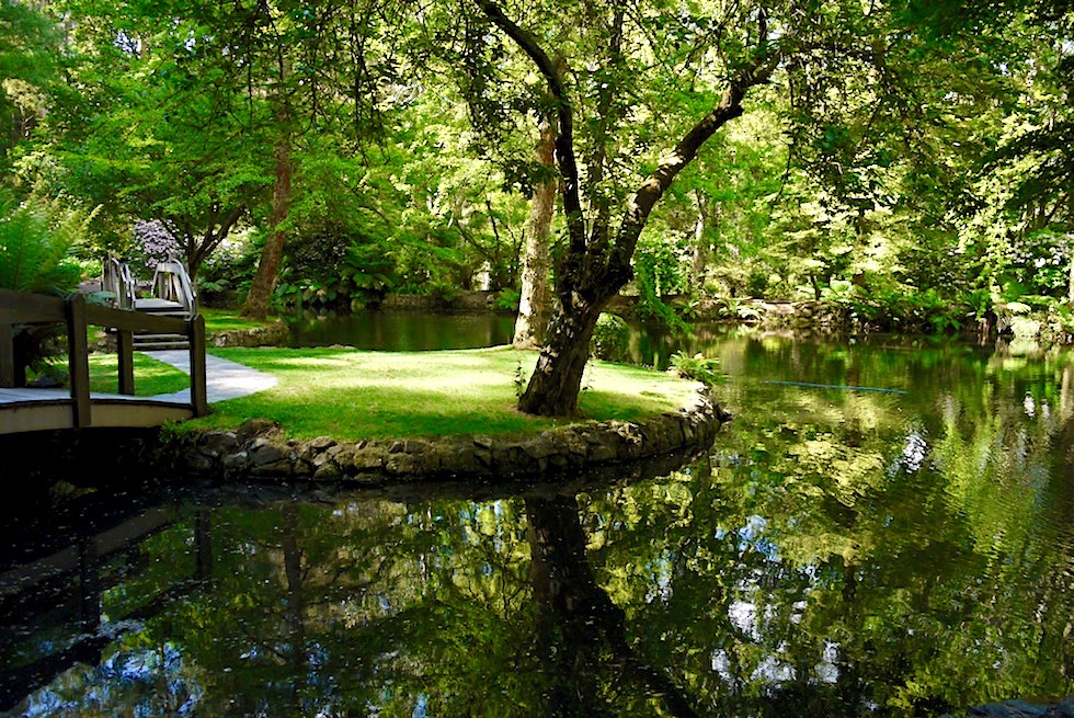Sherbrooke Forest bei Melbourne - Alfred Niclas Garden: ein wunderschön angelegter, öffentlicher Garten - Victoria