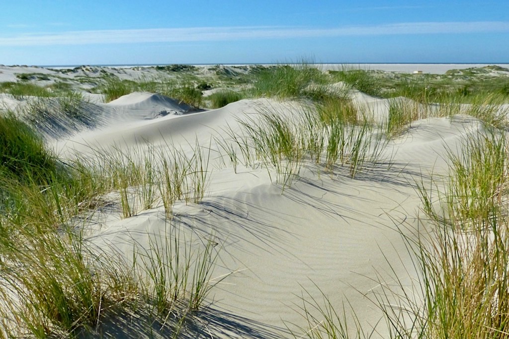 Borkum - Einsame Sanddünen-Landschaft - Ostfriesische Inseln
