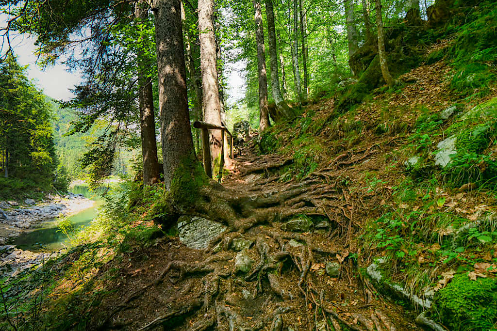 Laghi di Fusine - Schön angelegte Waldwege verbinden den Oberen und Unteren Weißenfelser See - Tarvisio, Italien